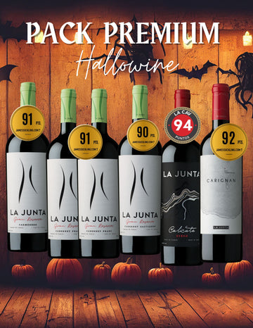 PACK PREMIUM (6 vinos Hallowine)