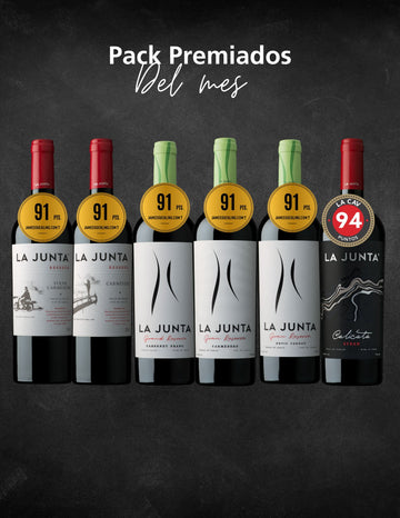 PACK PREMIADOS 🏅 2025 (6 VINOS)