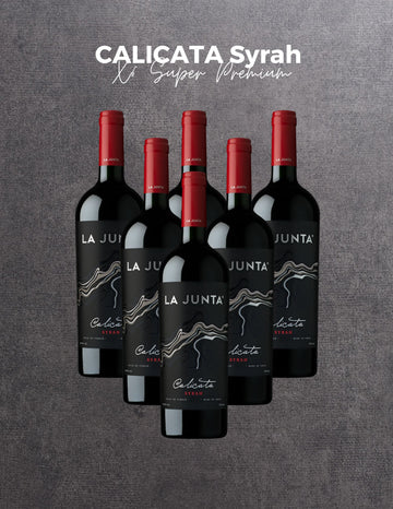 Caja x6 vinos CALICATA Syrah