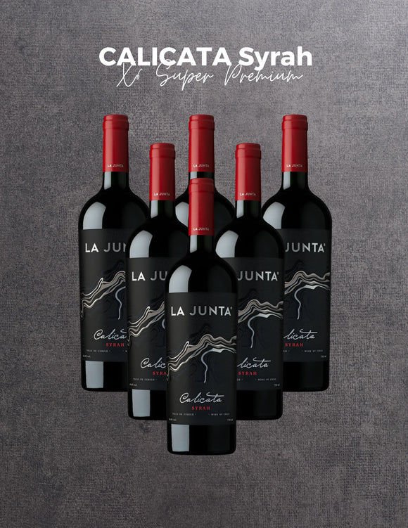 Caja x6 vinos CALICATA Syrah