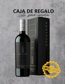ESCALERA ICONO Premium-1