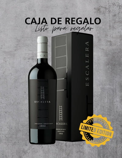 ESCALERA ICONO Premium