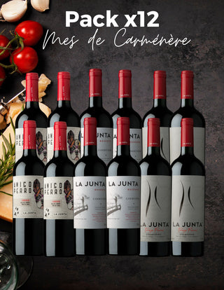 PACK 12x Mes del CARMENERE