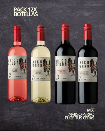 Caja Amigo Perro Mix