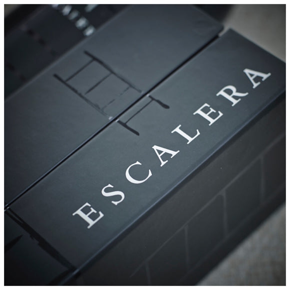 ESCALERA ICONO Premium