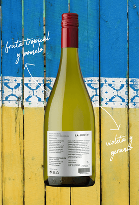 LA JUNTA MOMENTOS VIOGNIER / SAUVIGNON BLANC RESERVA - 0