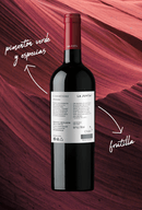 LA JUNTA MOMENTOS CARMENERE RESERVA-2