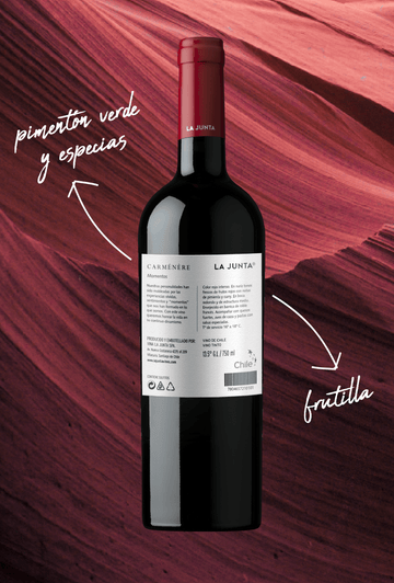 LA JUNTA MOMENTOS CARMENERE RESERVA - 0