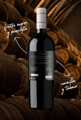 ESCALERA ICONO Premium - 0