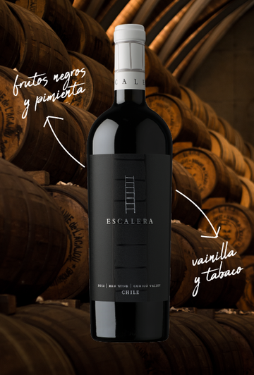 ESCALERA ICONO Premium